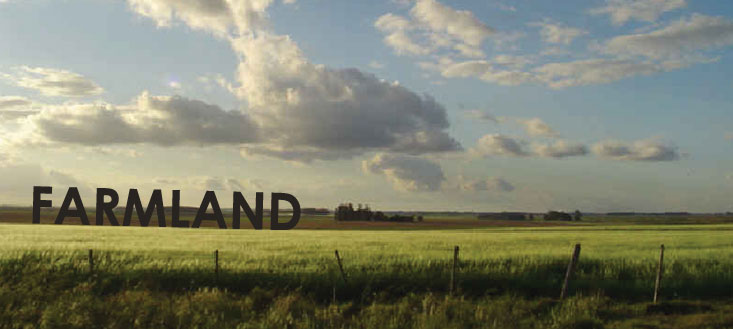 Caton Commercial Real Estate Farmland in Naperville & Plainfield IL